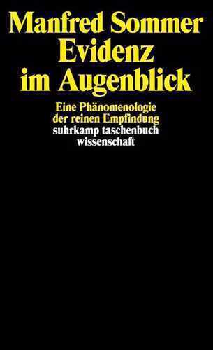 Evidenz im Augenblick