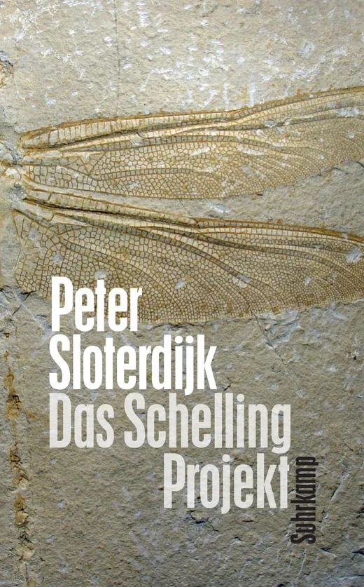 Das Schelling-Projekt