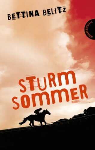 Sturmsommer — Bettina Belitz