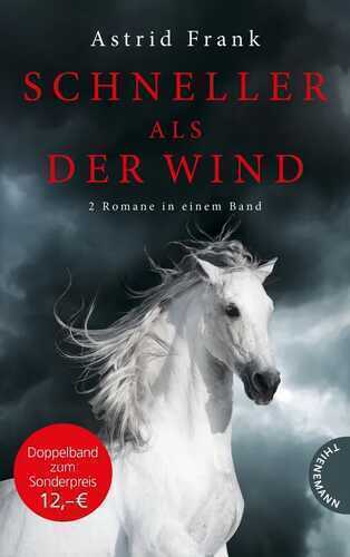 Schneller als der Wind