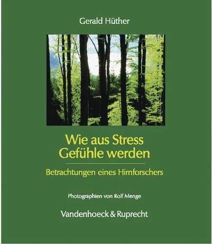Wie Aus Stress Gefühle Werden