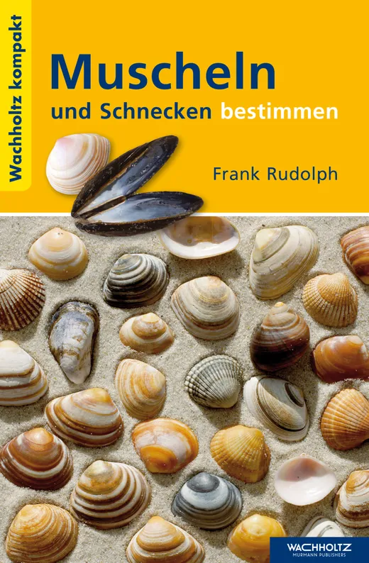 Muscheln und Schnecken bestimmen