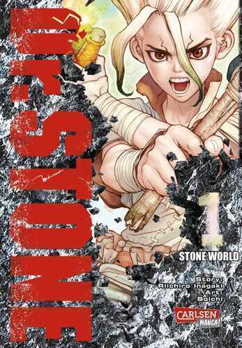 Dr. Stone 1 — Boichi