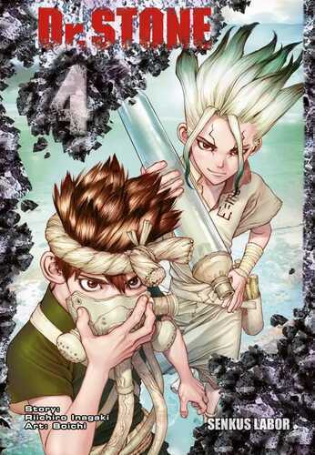 Dr. Stone 4 — Boichi