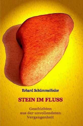 Stein im Fluss — Erhard Schümmelfeder