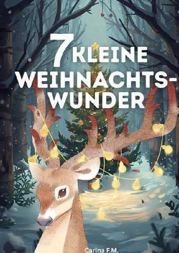 7 kleine Weihnachtswunder