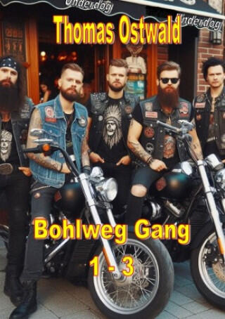Bohlweg Gang Sammelband 1-3
