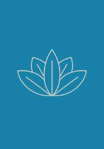 Lotus Notebook — Stephanie Mitkowsky