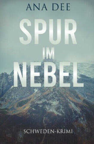 Spur im Nebel