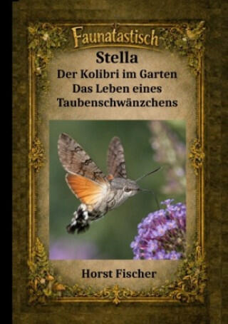 Faunatastisch® #16 Stella - Der Kolibri im Garten
