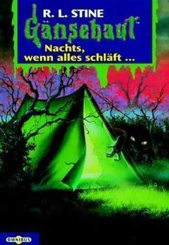 Gänsehaut / Nachts, wenn alles schläft