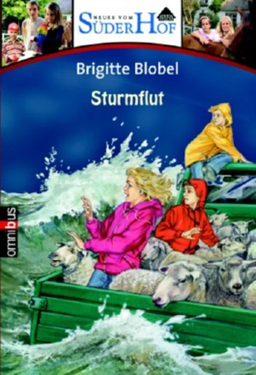 Neues vom Süderhof 5 - Sturmflut
