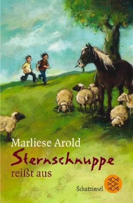 Sternschnuppe reisst aus