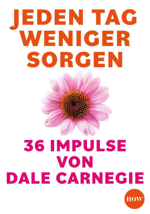 Die Dale-Carnegie-Box