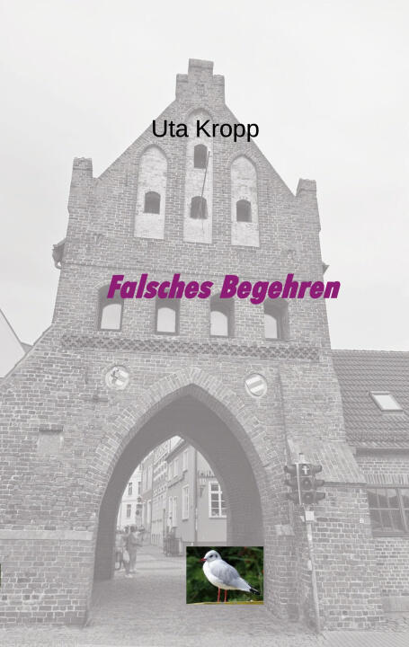 Falsches Begehren