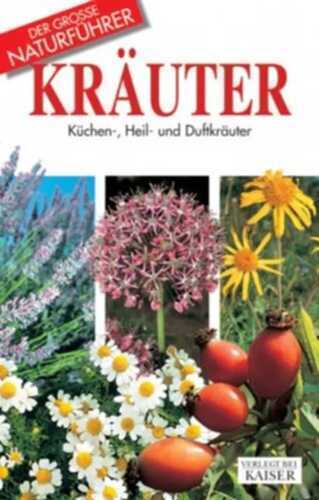 Kräuter — Maria T. DellaBeffa