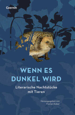 Wenn es dunkel wird