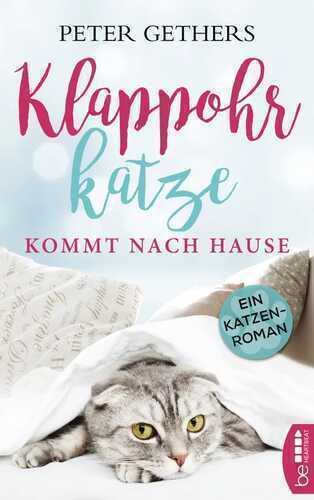 Klappohrkatze kommt nach Hause