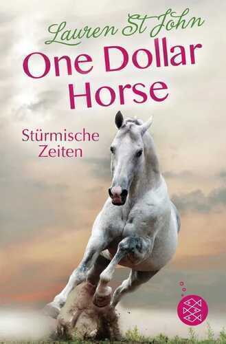 One Dollar Horse – Stürmische Zeiten
