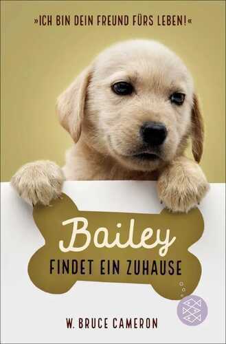 Bailey findet ein Zuhause