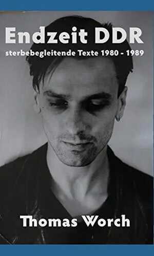 Endzeit DDR: sterbebegleitende Texte 1980 bis 1989