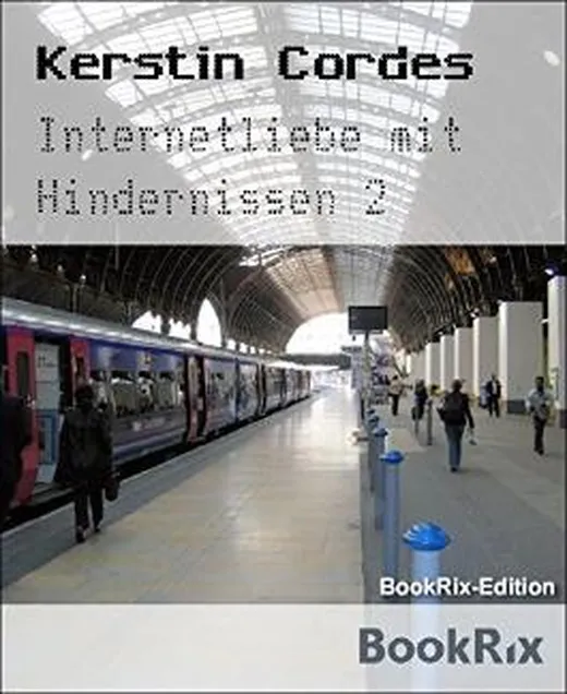 Internetliebe mit Hindernissen 2: Teil 2