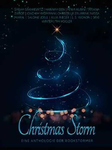 Christmas Storm: Eine Anthologie der Bookstormer