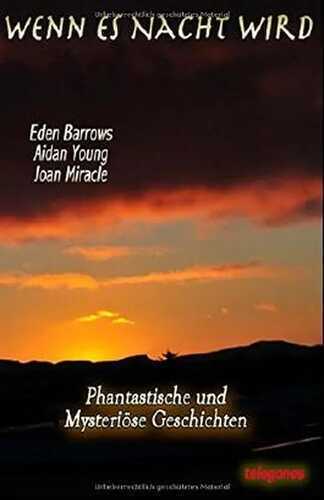 Wenn es Nacht wird: Phantastische und mysteriöse Geschichten und Gedichte