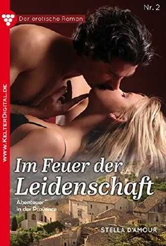 Der erotische Roman 2 - Erotikroman: Im Feuer der Leidenschaft (Ein erotischer Roman)