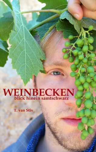 Weinbecken — T. van Stiv