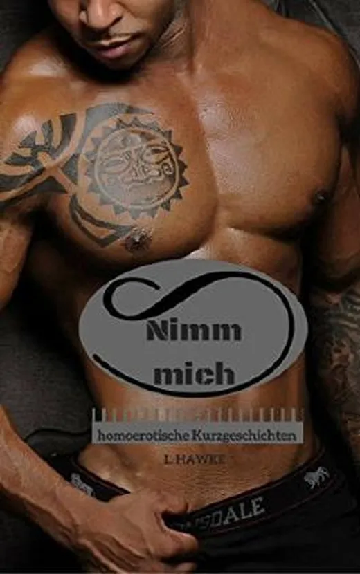 Nimm mich: homoerotische Kurzgeschichten