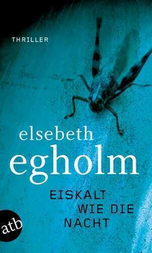 Eiskalt wie die Nacht