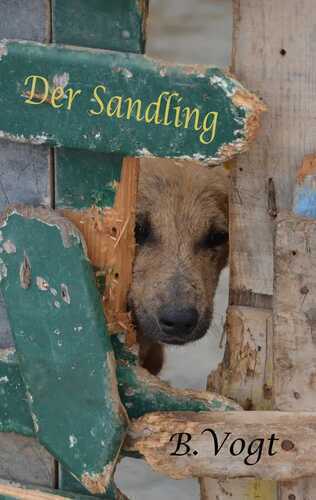 Der Sandling — Benjamin Vogt