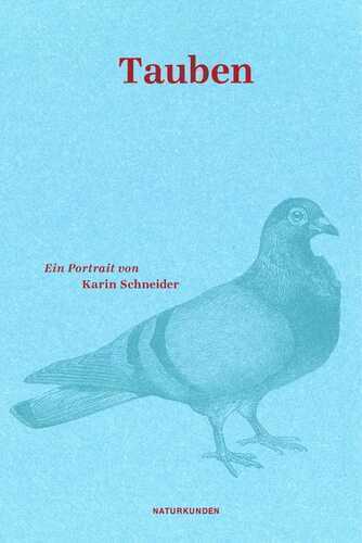 Tauben — Karin Schneider