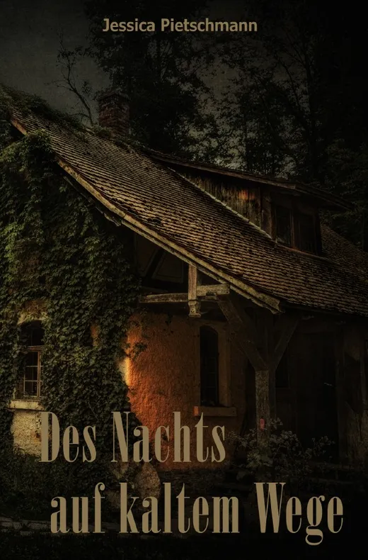 Des Nachts auf kaltem Wege