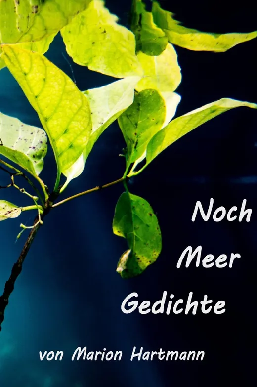 Noch Meer Gedichte
