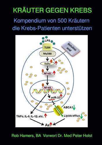 KRÄUTER GEGEN KREBS