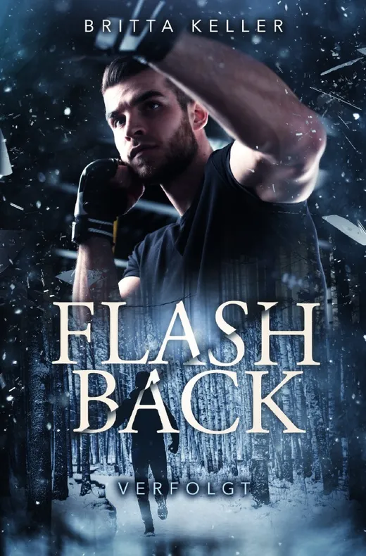 Flashback-Trilogie (Die Organisation) / Flashback
