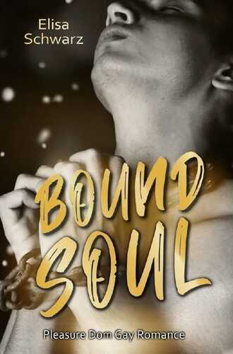 Bound Soul — Elisa Schwarz