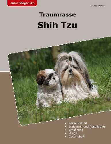 Traumrasse Shih Tzu