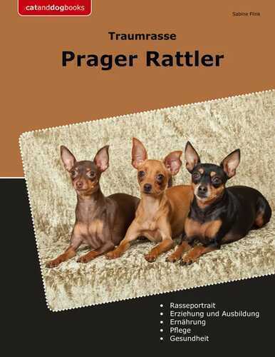 Traumrasse Prager Rattler