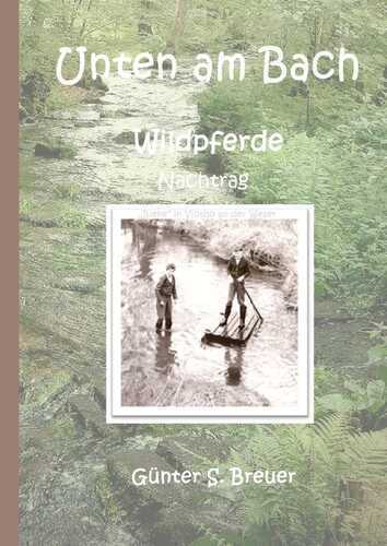 Wildpferde / Unten am Bach