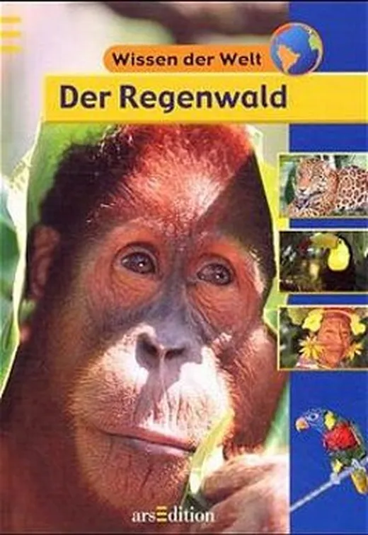 Der Regenwald