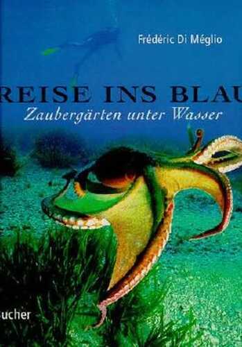 Reise ins Blau