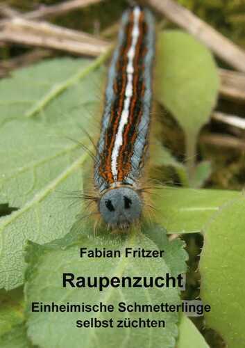 Raupenzucht — Fabian Fritzer