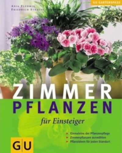 Zimmerpflanzen für Einsteiger
