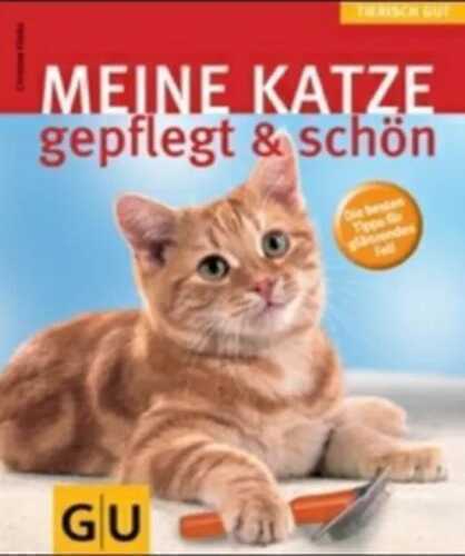 Meine Katze
