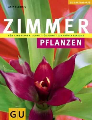 Zimmerpflanzen — Anja Flehmig