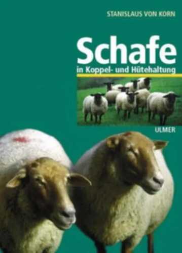 Sieben und eine Hex