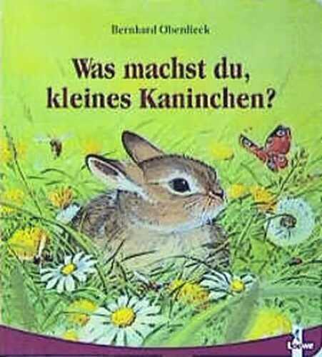 Was machst du, kleines Kaninchen?